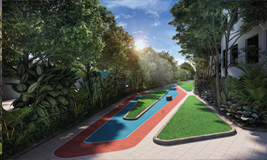 Active Lifestyle Loop