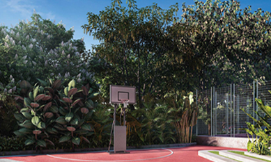 Half Basketball Court