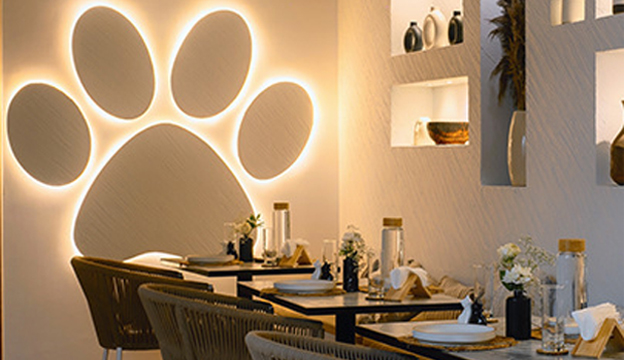 Paws, parks and
pet friendly places Paws, parks and
pet friendly places