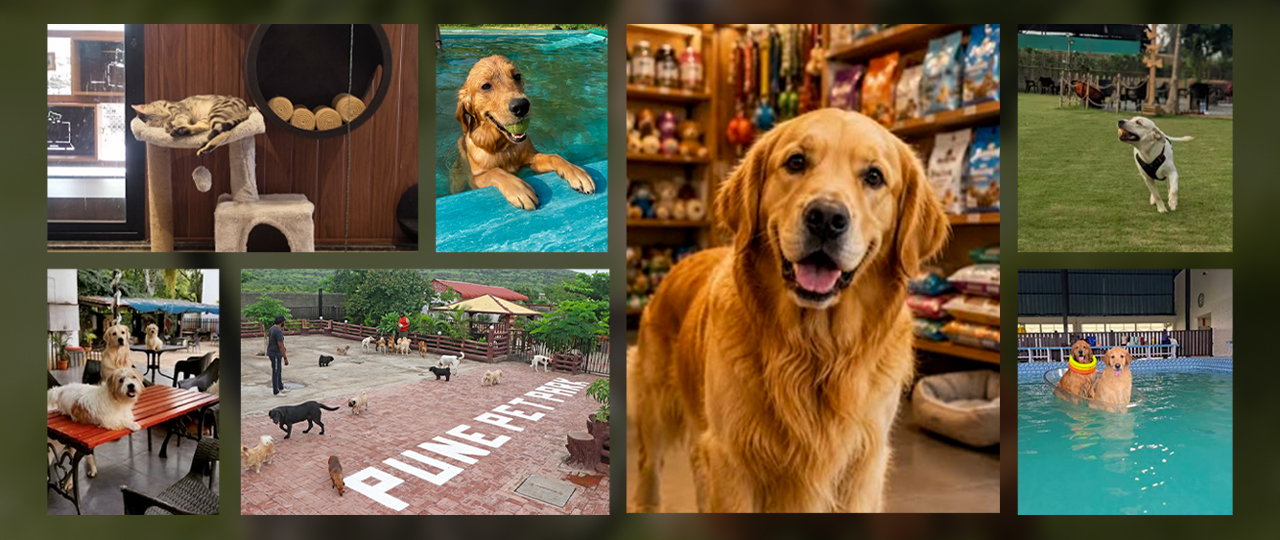 Paws, parks and
pet friendly places Peaceful lifestyle experiences near Mundhwa